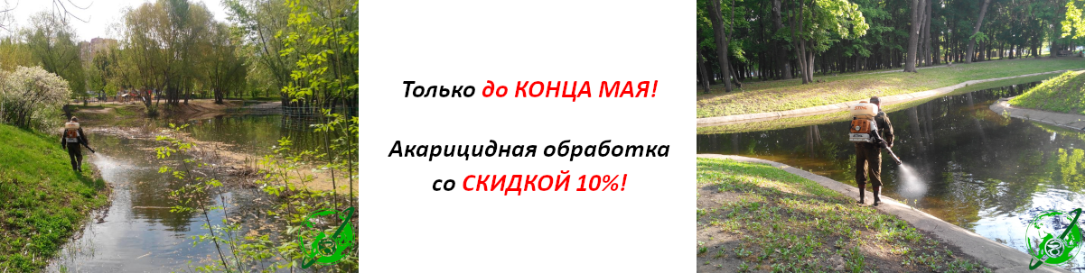 Акарицидная обработка со скидкой
